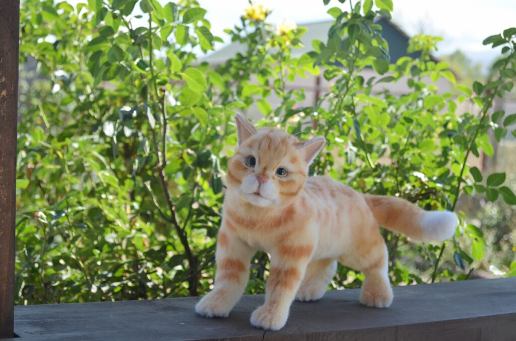 Кот Пончик.