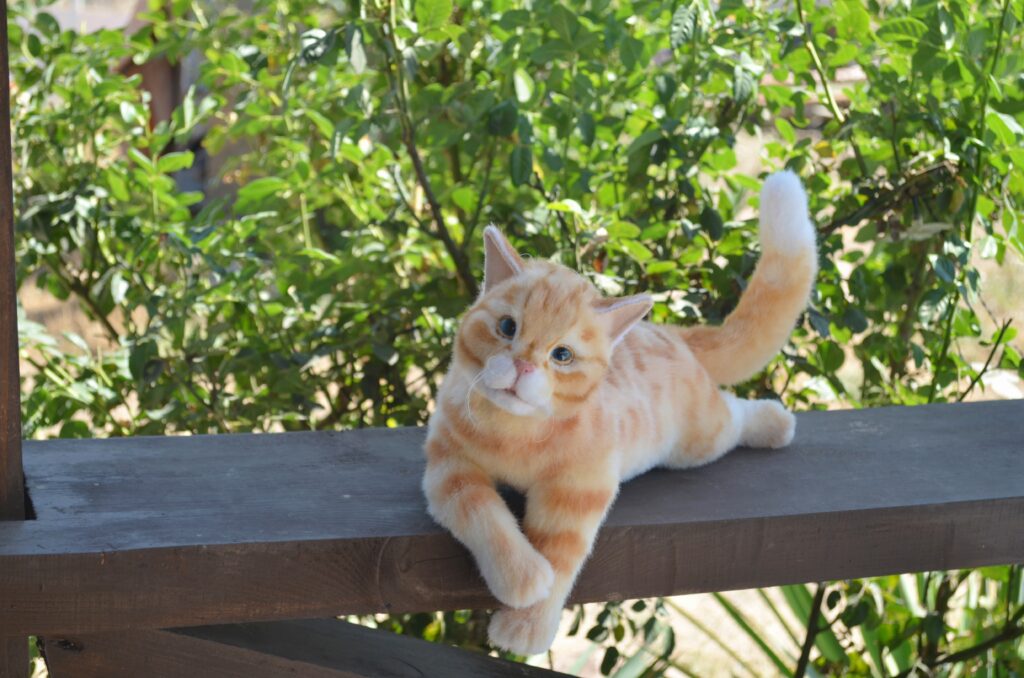 Кот Пончик.