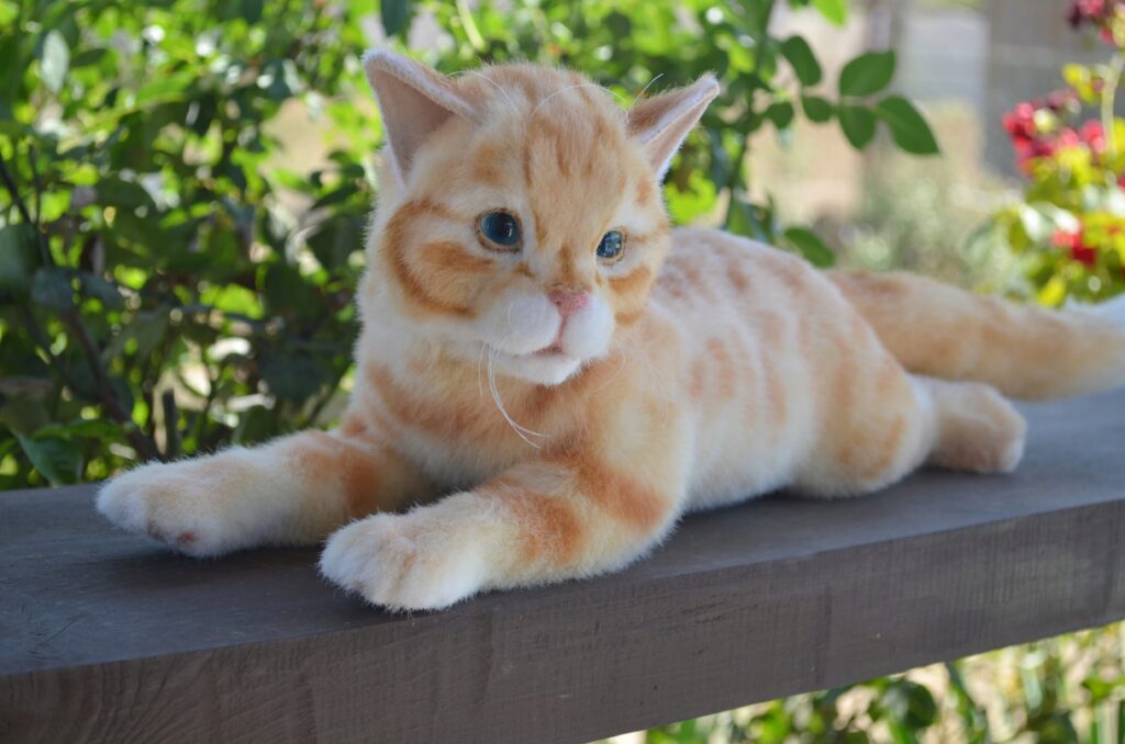 Кот Пончик.