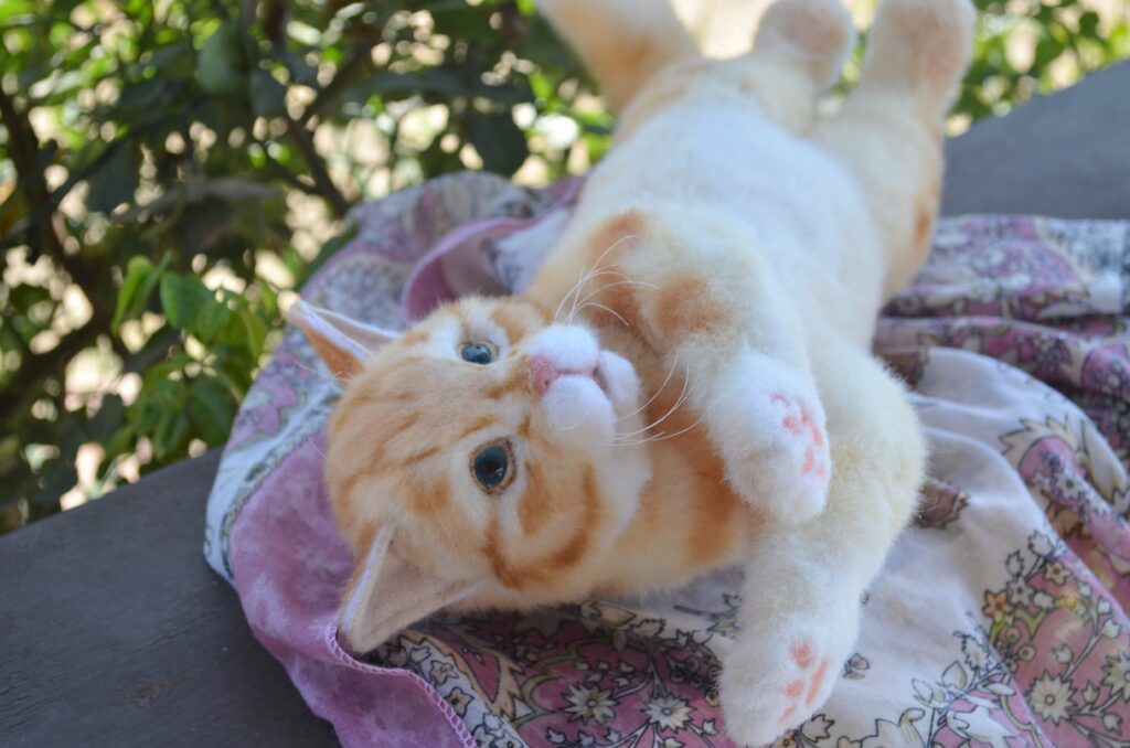 Кот Пончик.