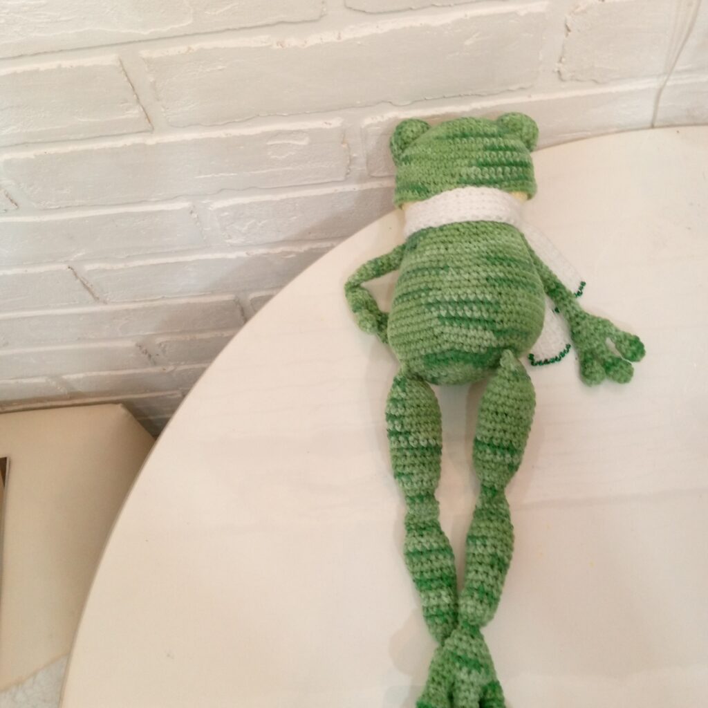 Лягушка на медитации