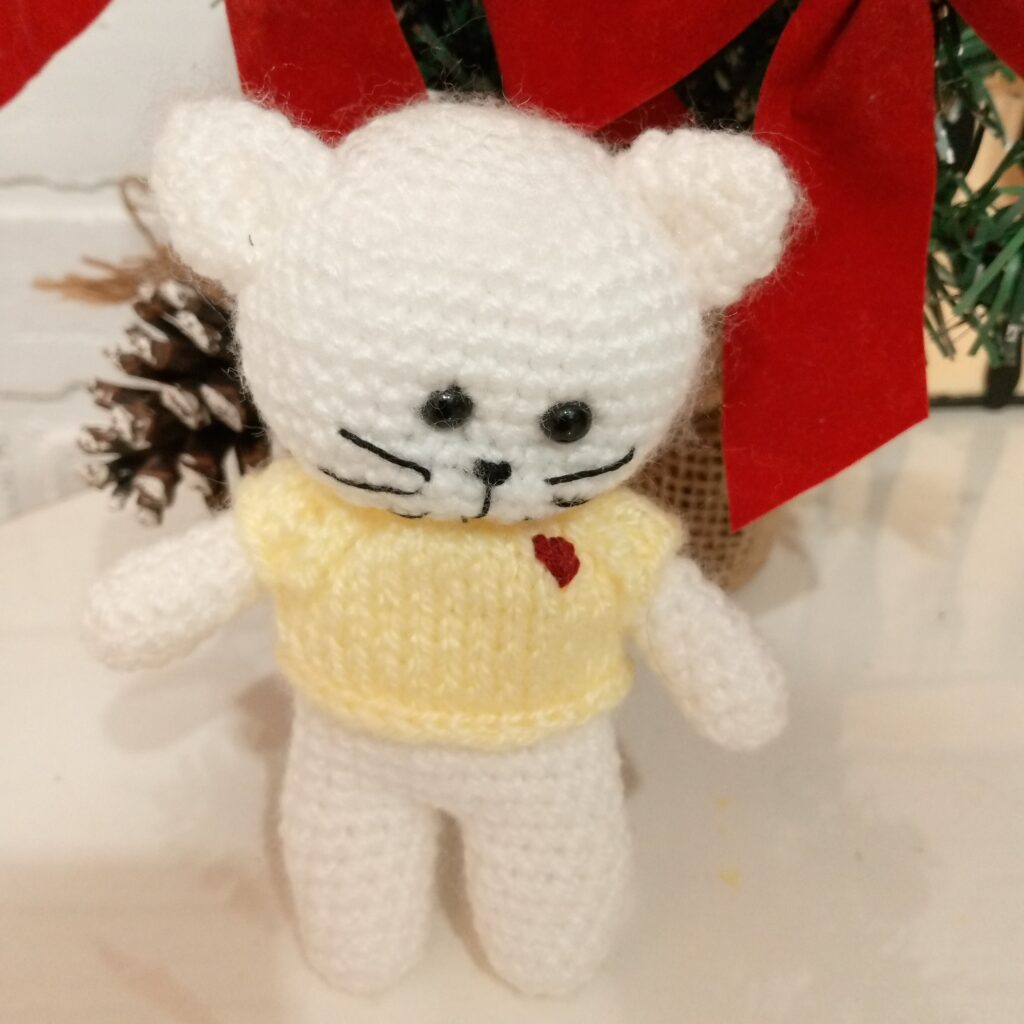 Питерский котик