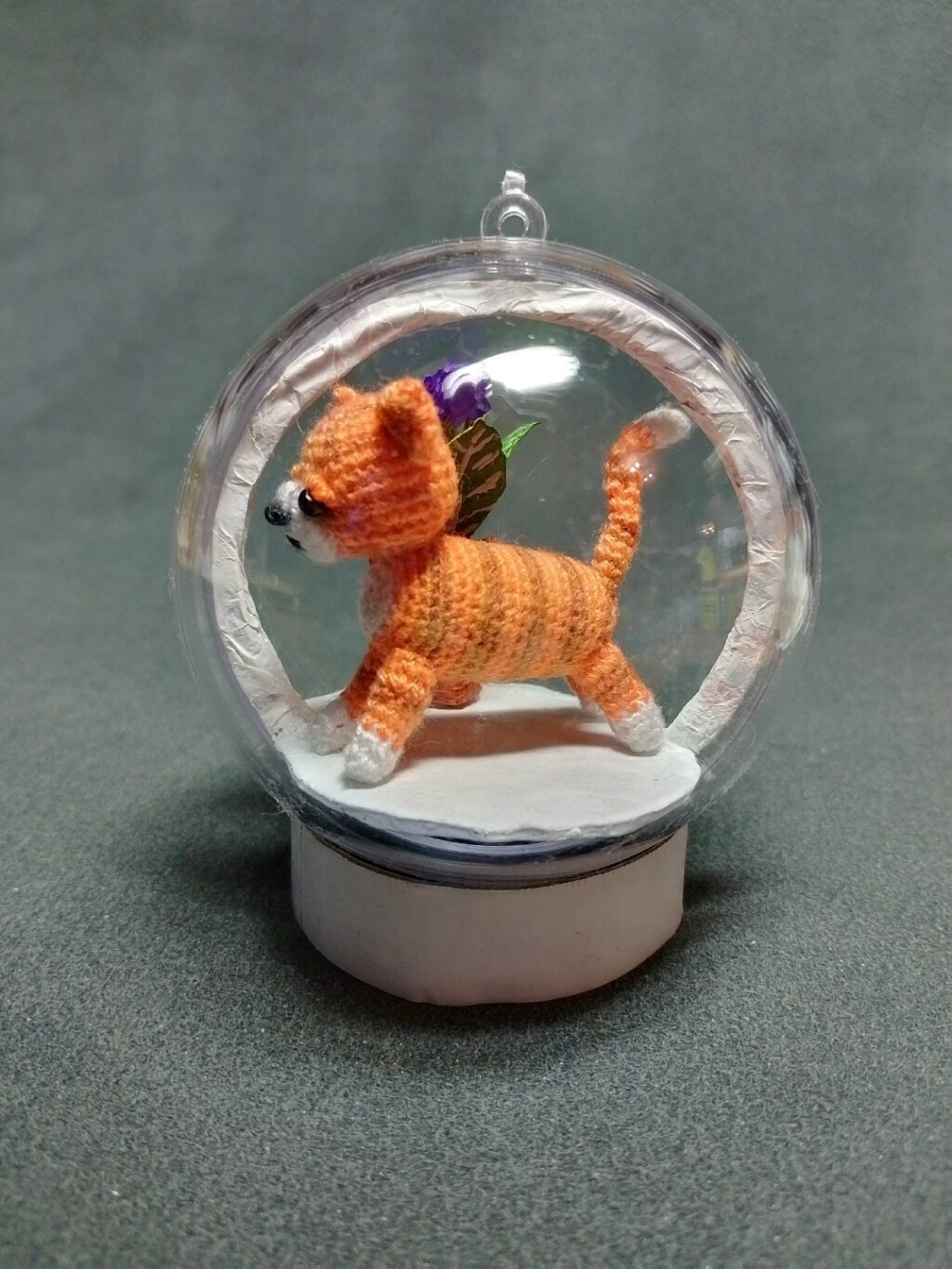 котенок на окошке