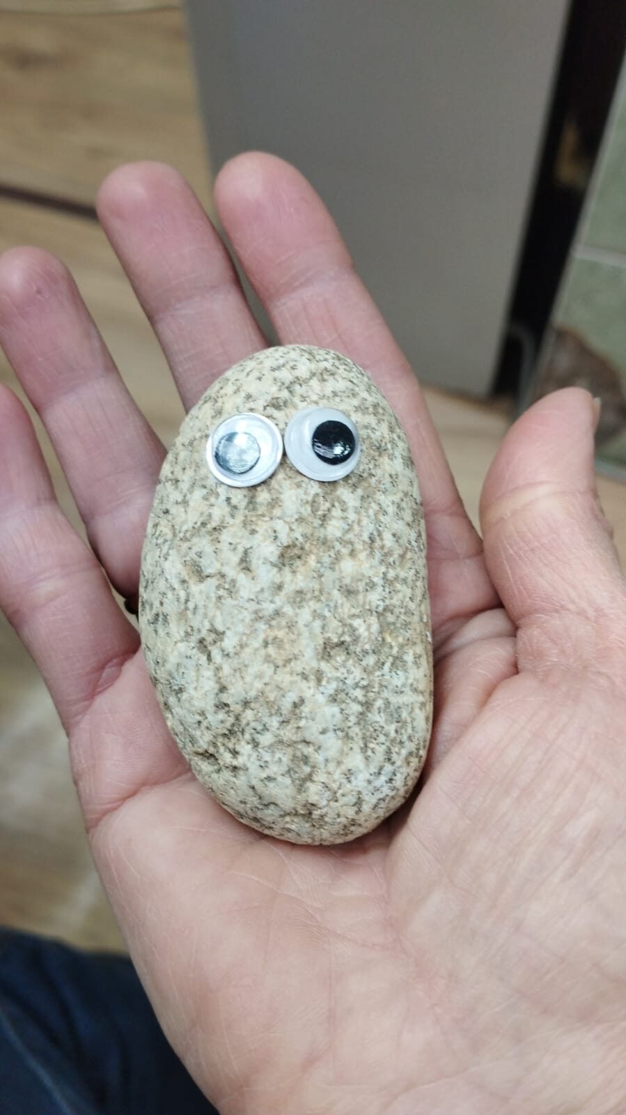 Камень-питомец (Счастливая семья)