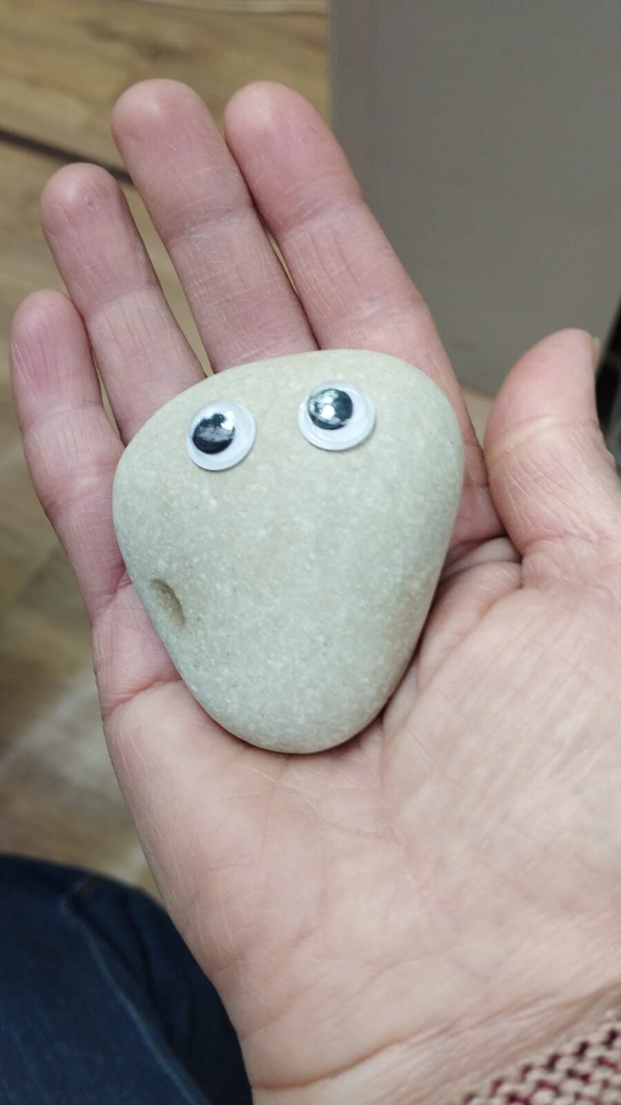 Камень-питомец (Счастливая семья)