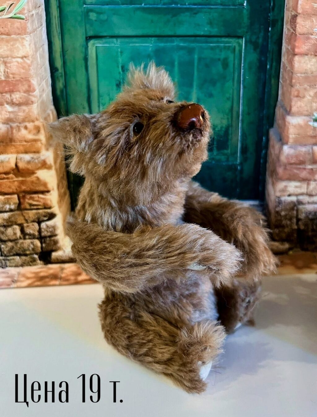 Тедди-пушистый хозяин леса