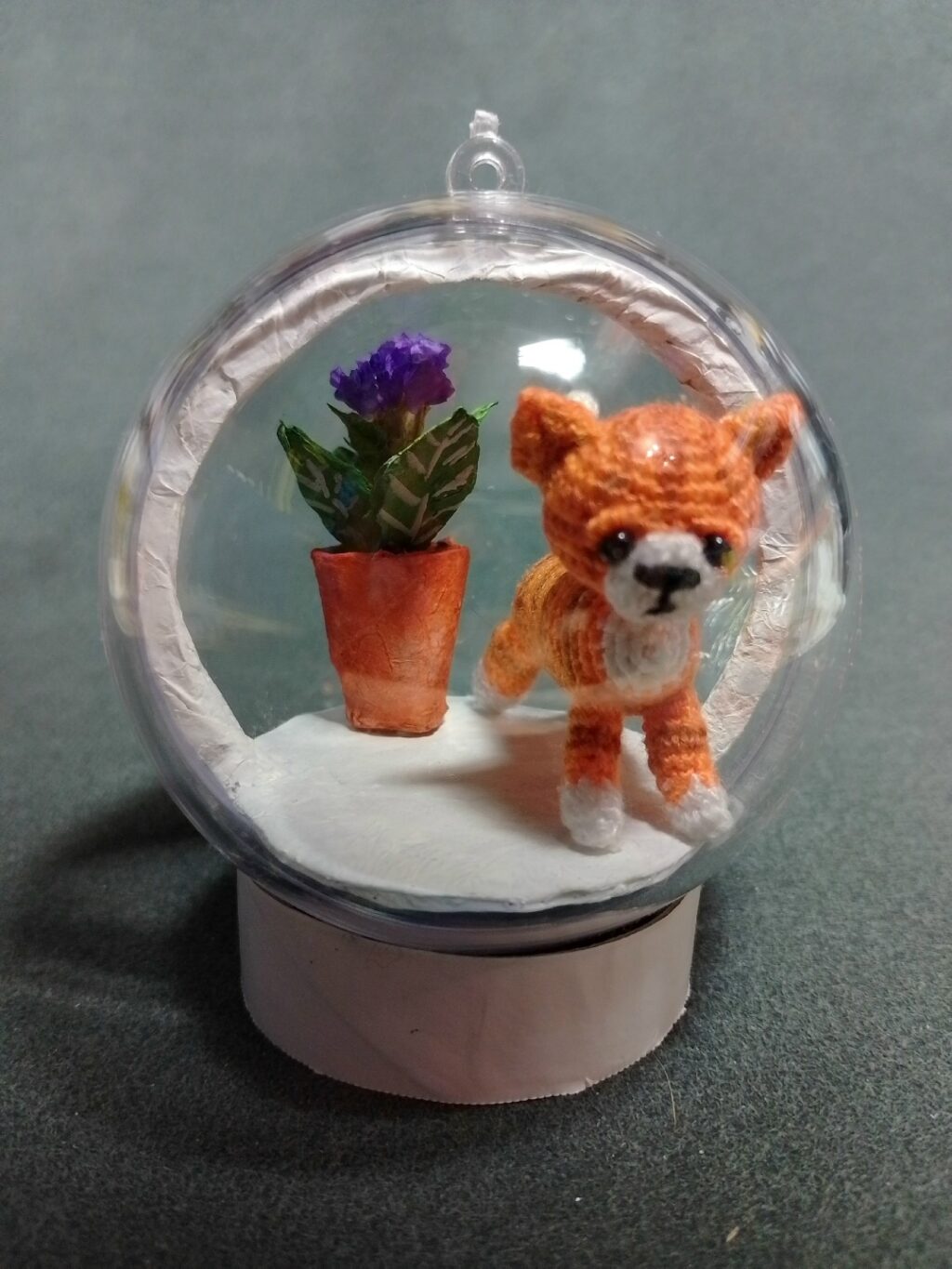 котенок на окошке