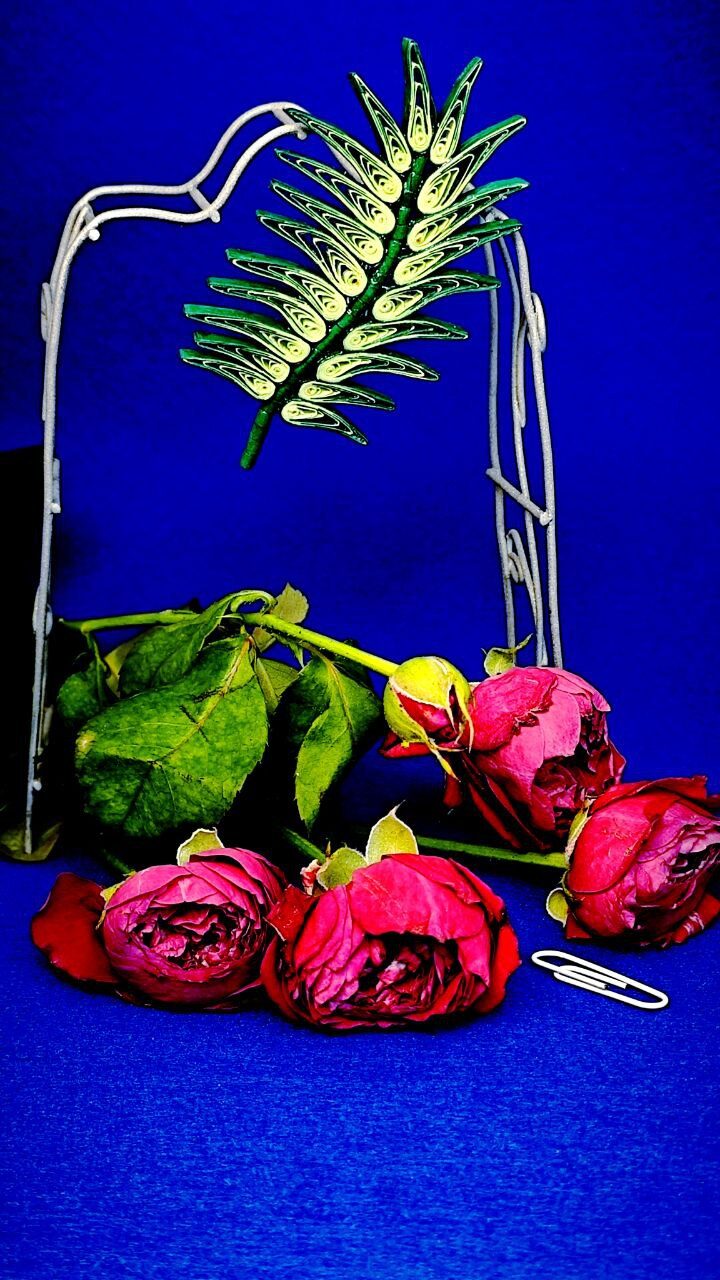 Брошь ЛИСТ квиллинг-графика.