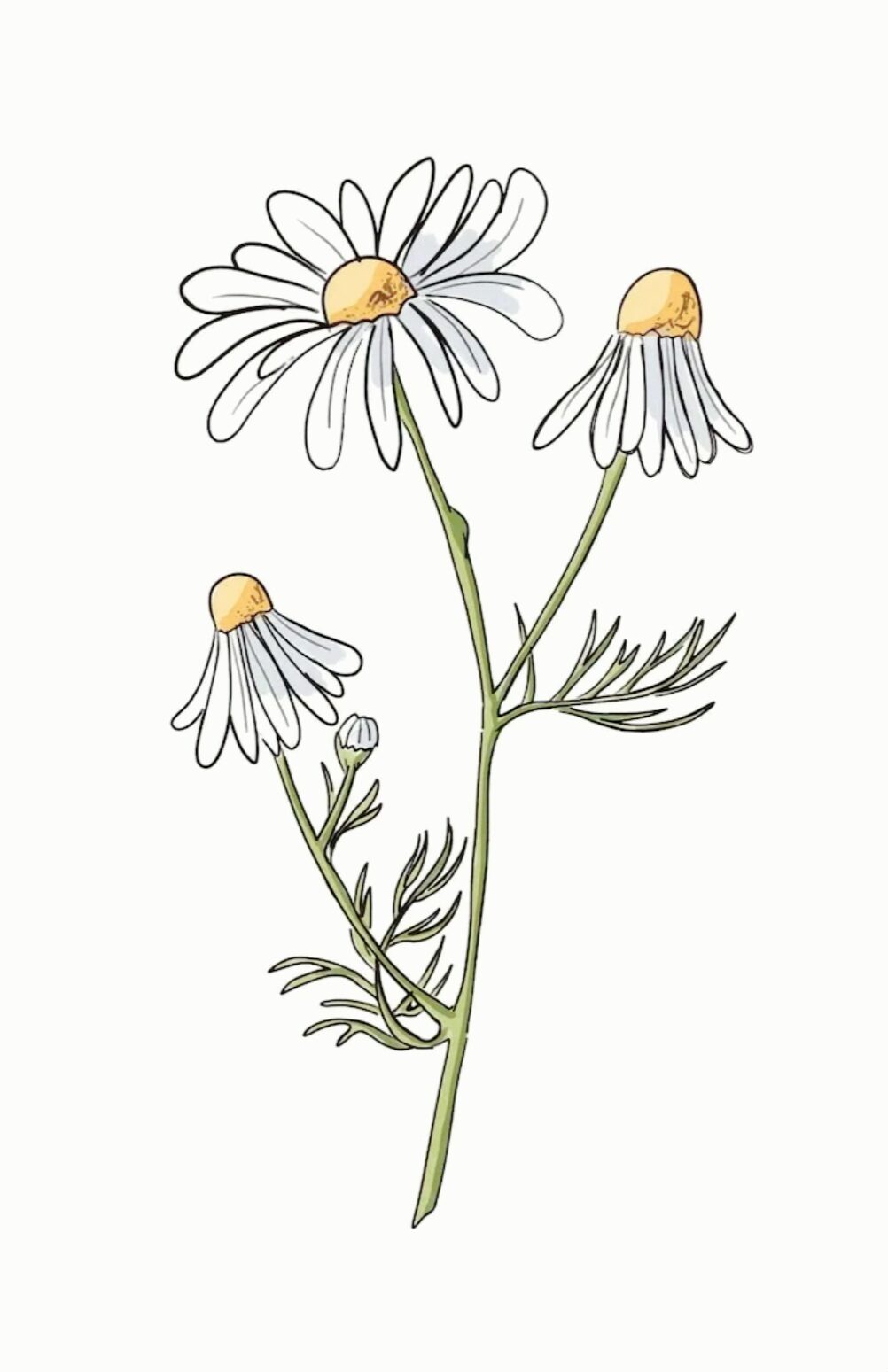 Творческая мастерская Бузиной Оксаны