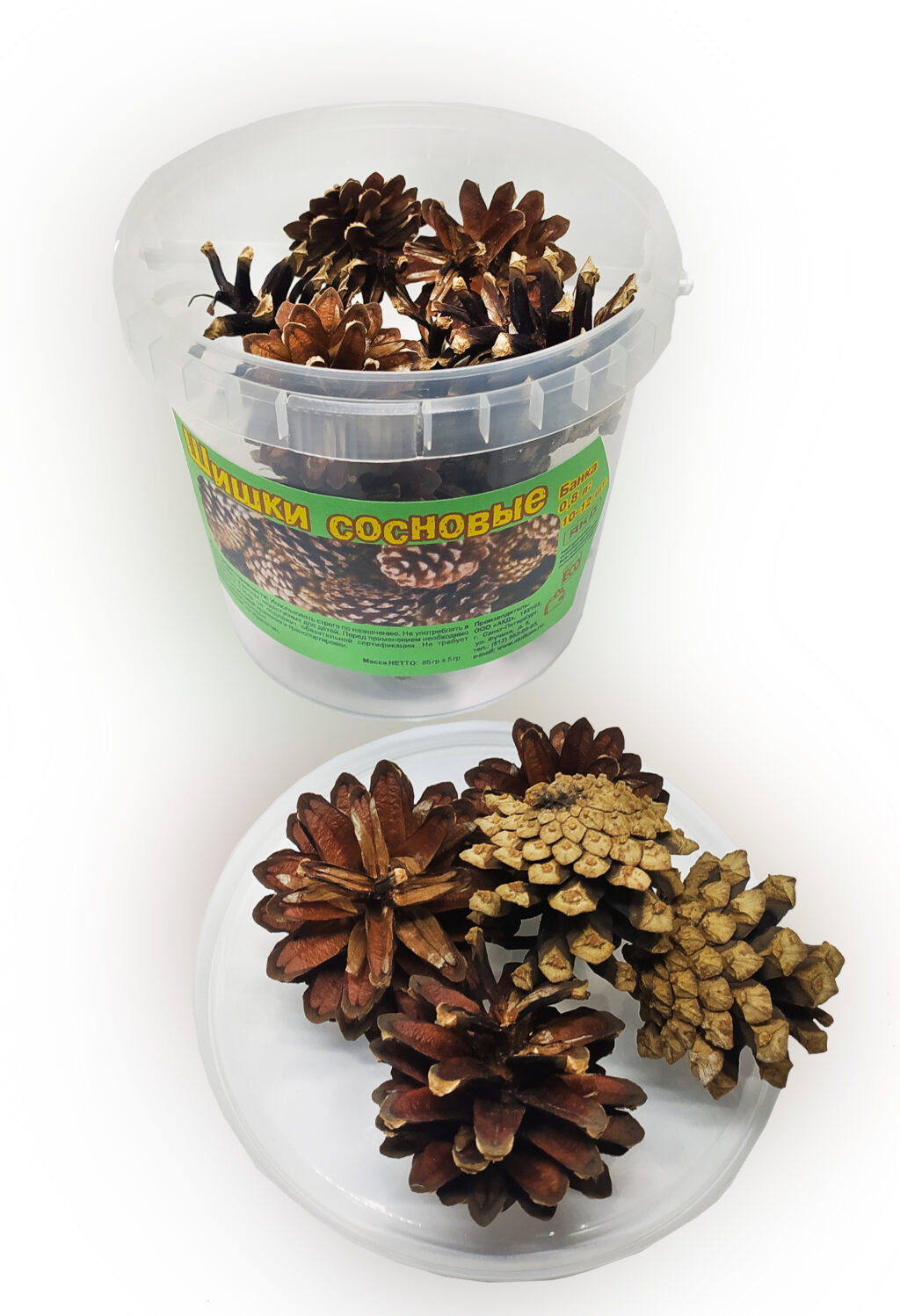 Шишки сосновые