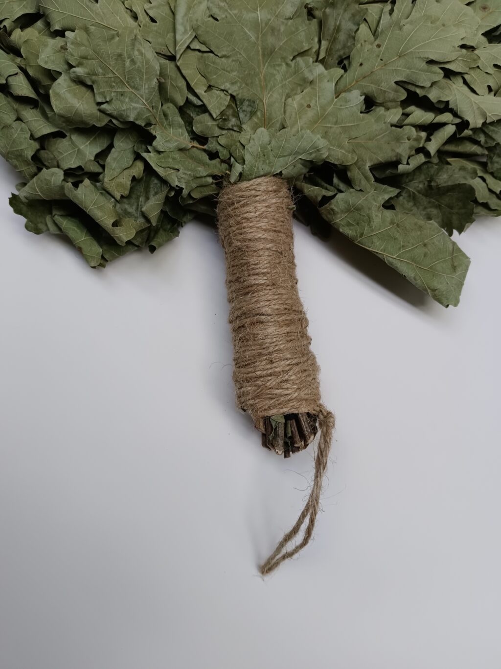 Веники из кавказского дуба