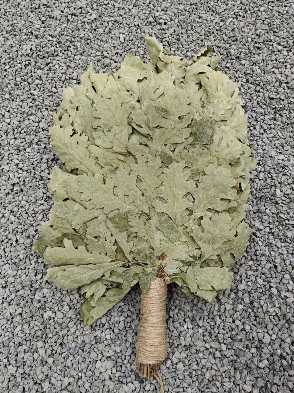 Веники из кавказского дуба