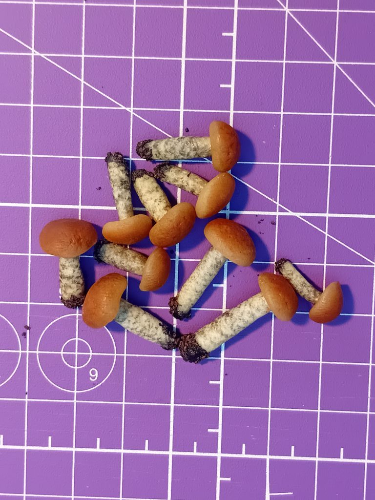 Грибы для кукол поштучно, миниатюра, еда для кукол