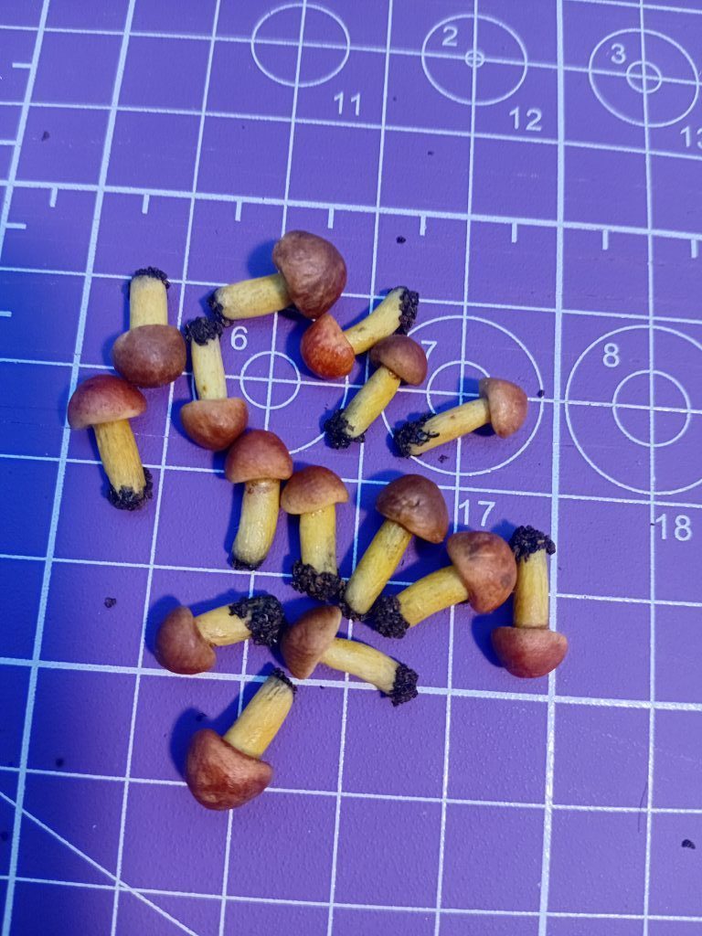 Грибы для кукол поштучно, миниатюра, еда для кукол