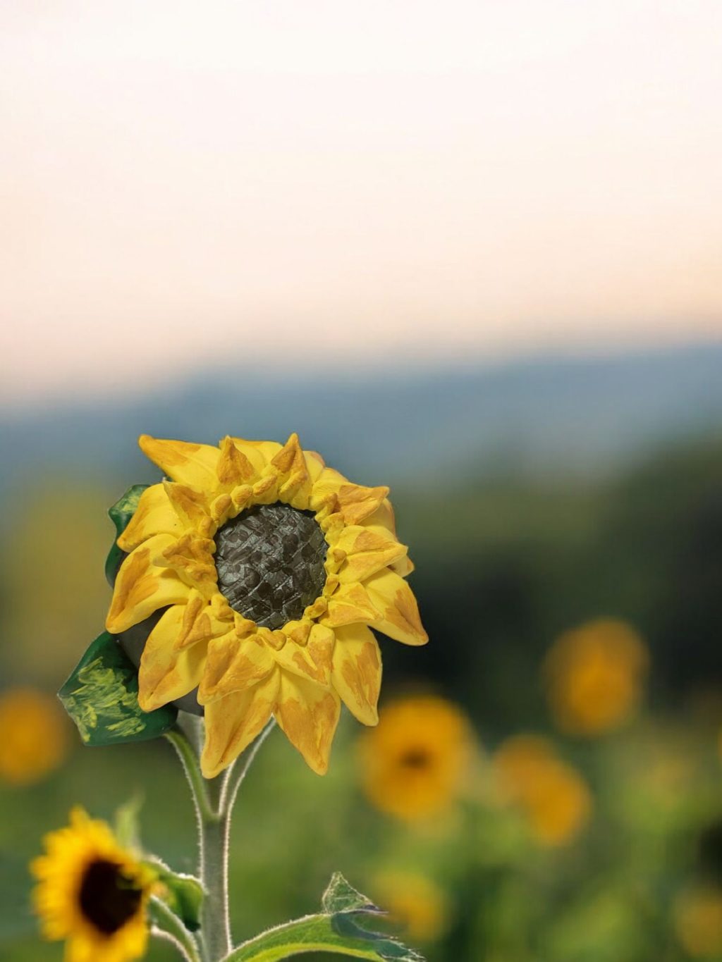 Дух-хранитель подсолнух