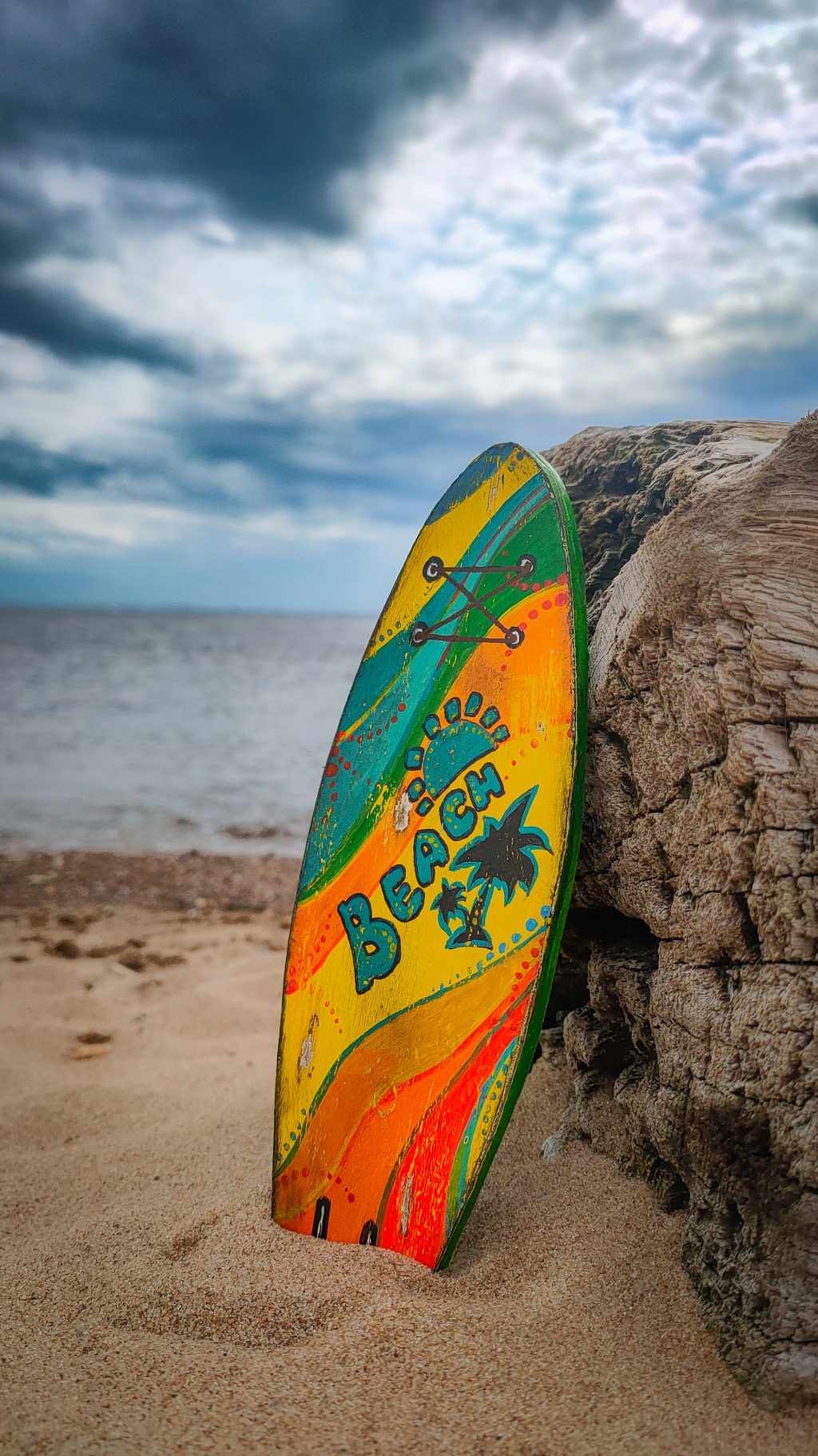 Сэм-Тедди 🏄🏼‍♀️🌴 серфер