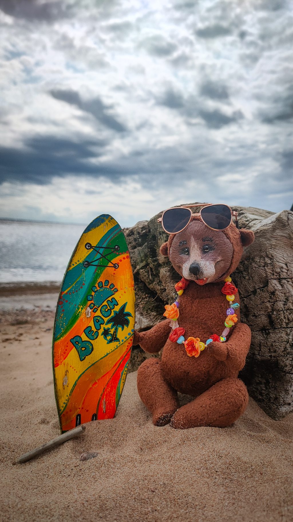 Сэм-Тедди 🏄🏼‍♀️🌴 серфер