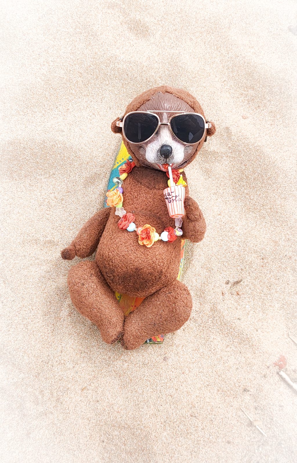 Сэм-Тедди 🏄🏼‍♀️🌴 серфер