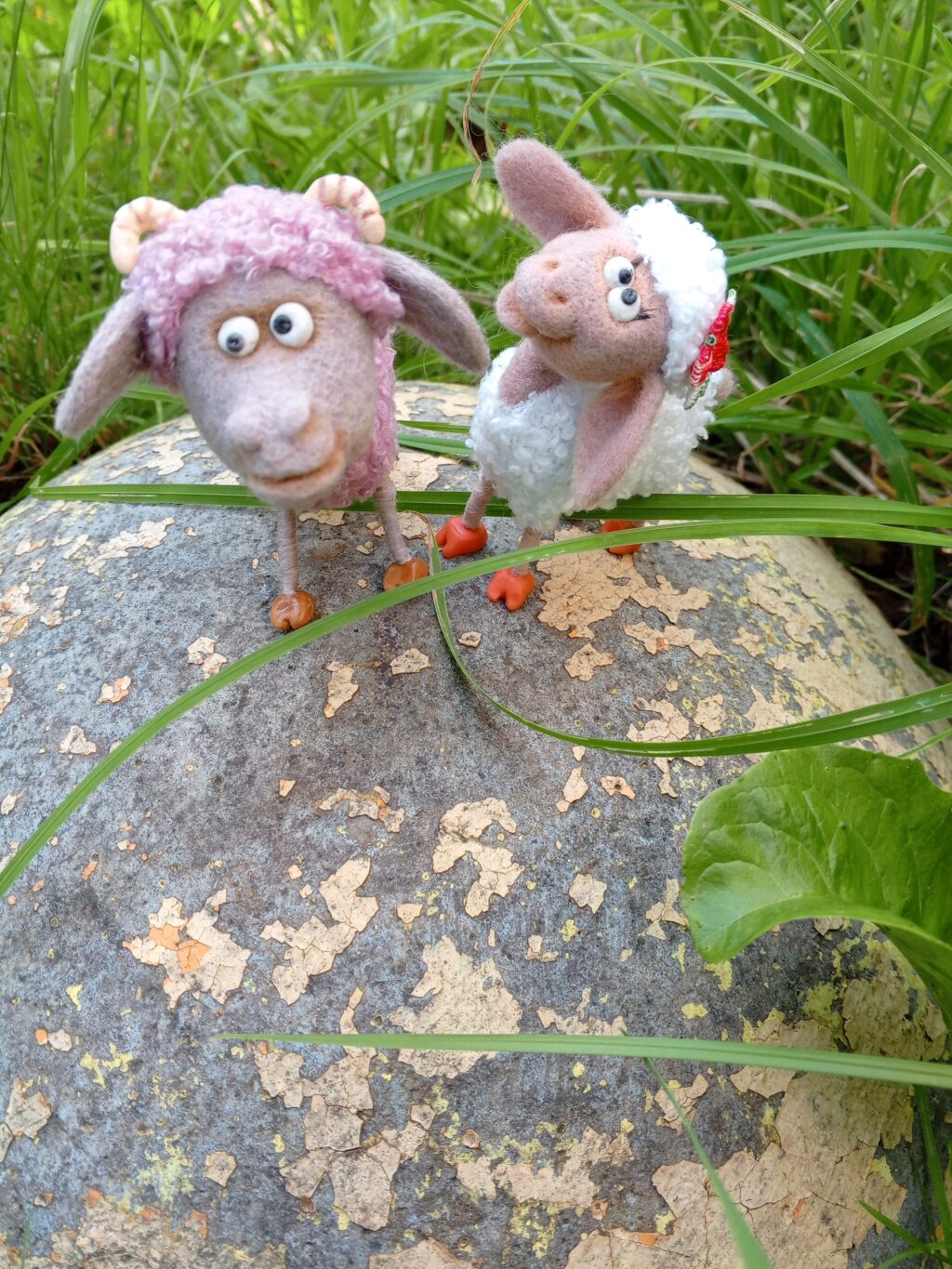 Семейство овечек