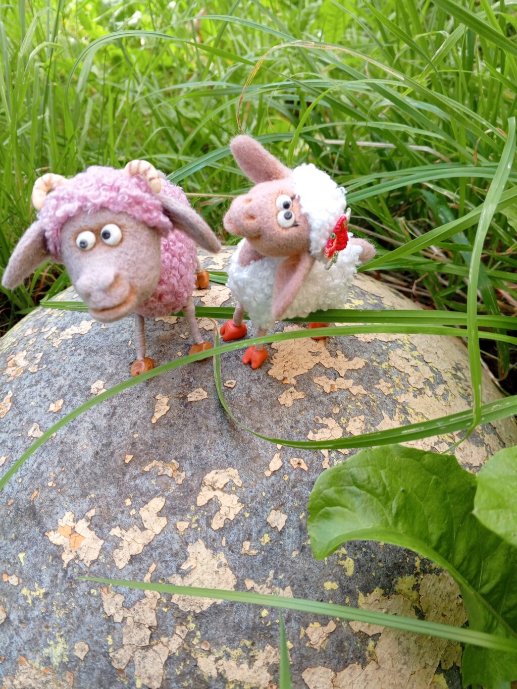 Семейство овечек