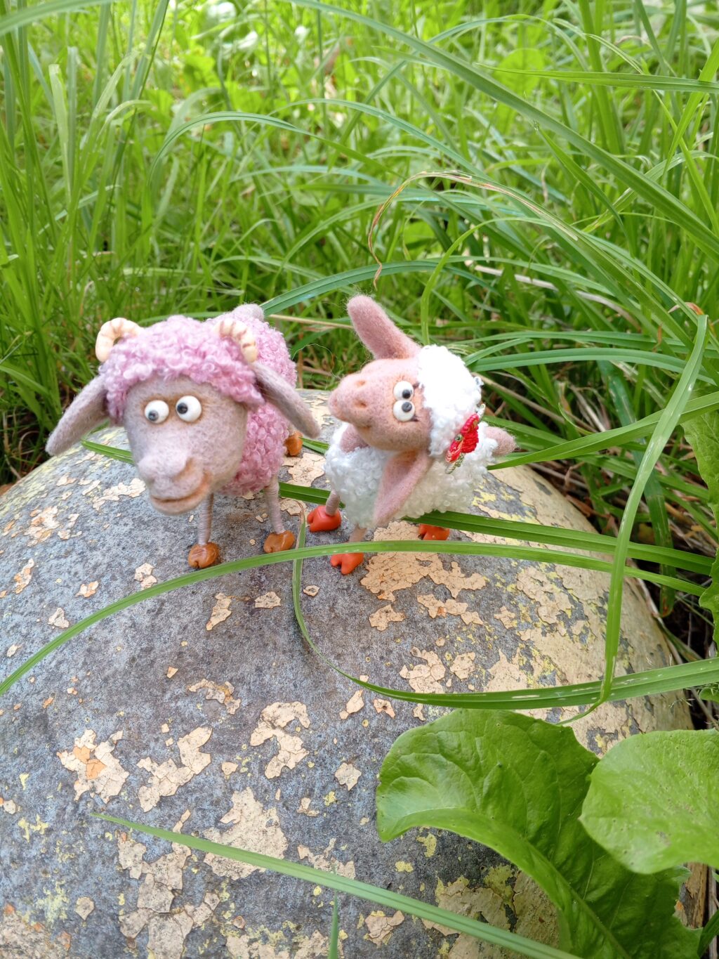 Семейство овечек