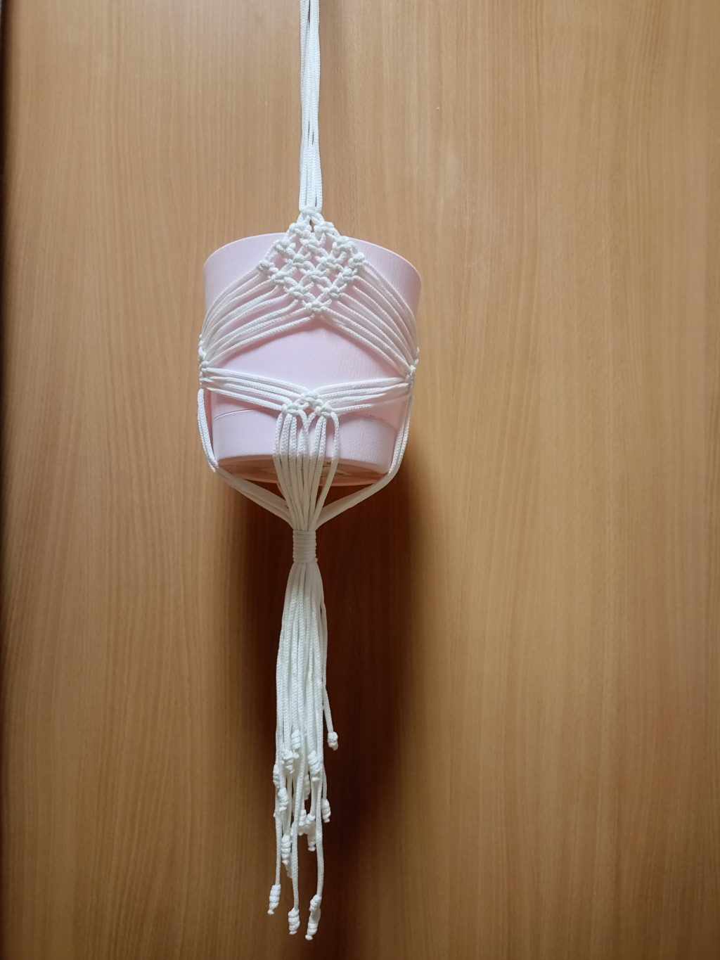 Макраме панно Кашпо Стрекозы белый