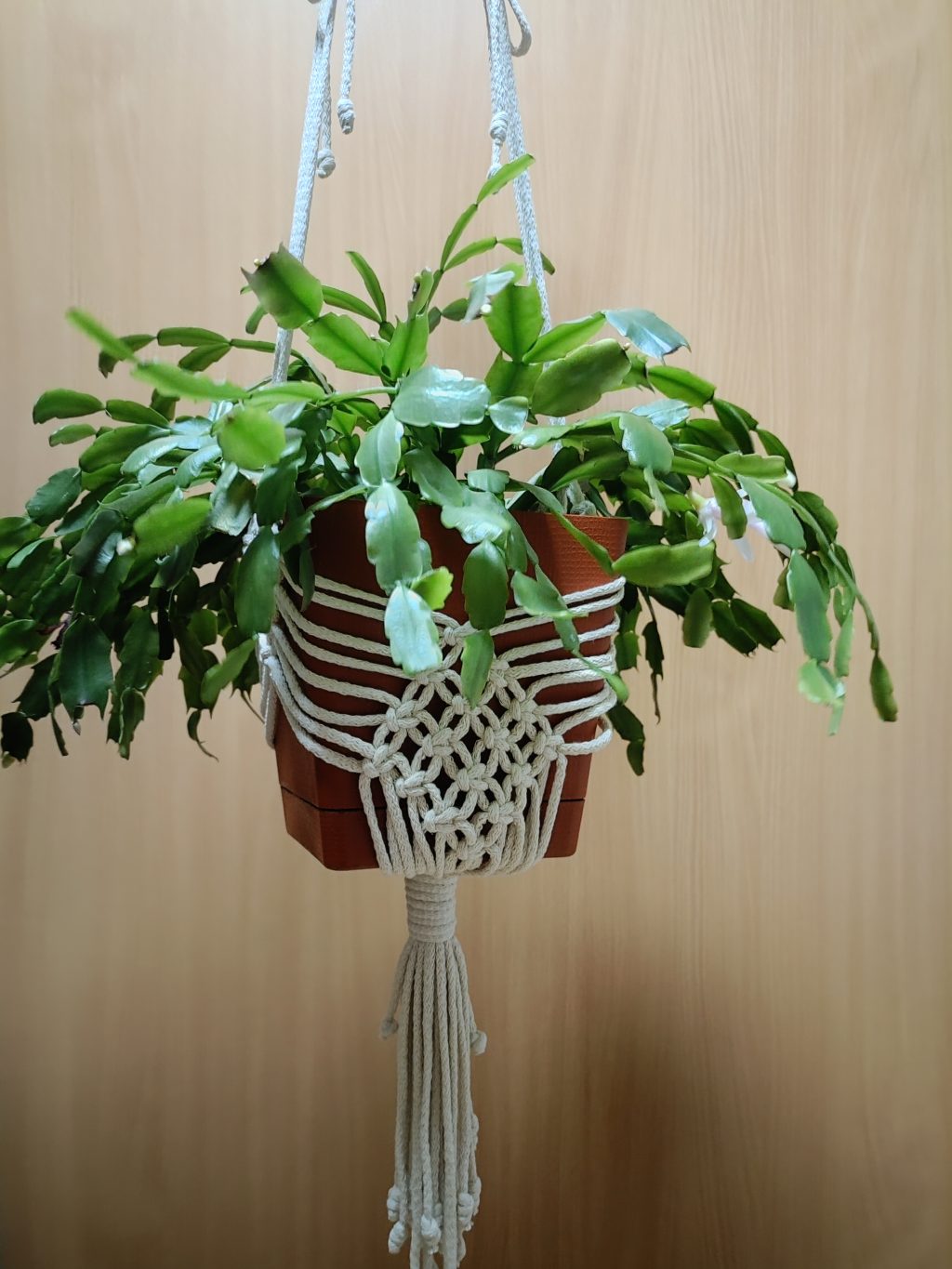 Кашпо макраме ромбы ваниль