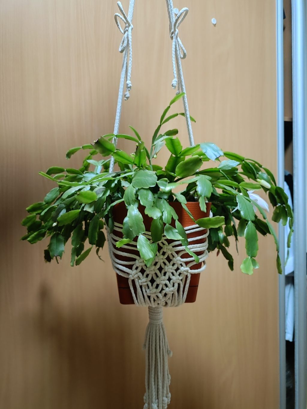 Кашпо макраме ромбы ваниль