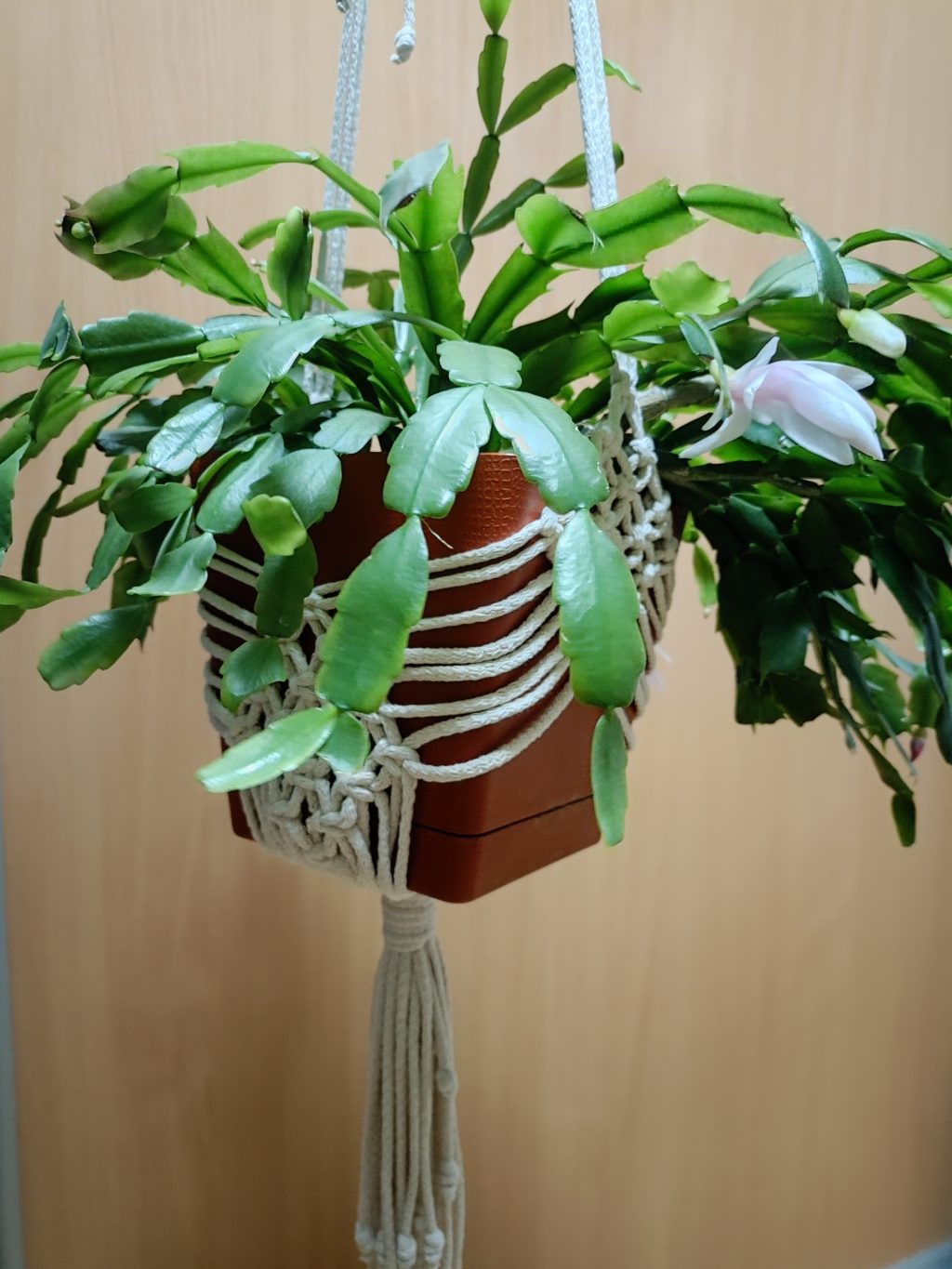 Кашпо макраме ромбы ваниль