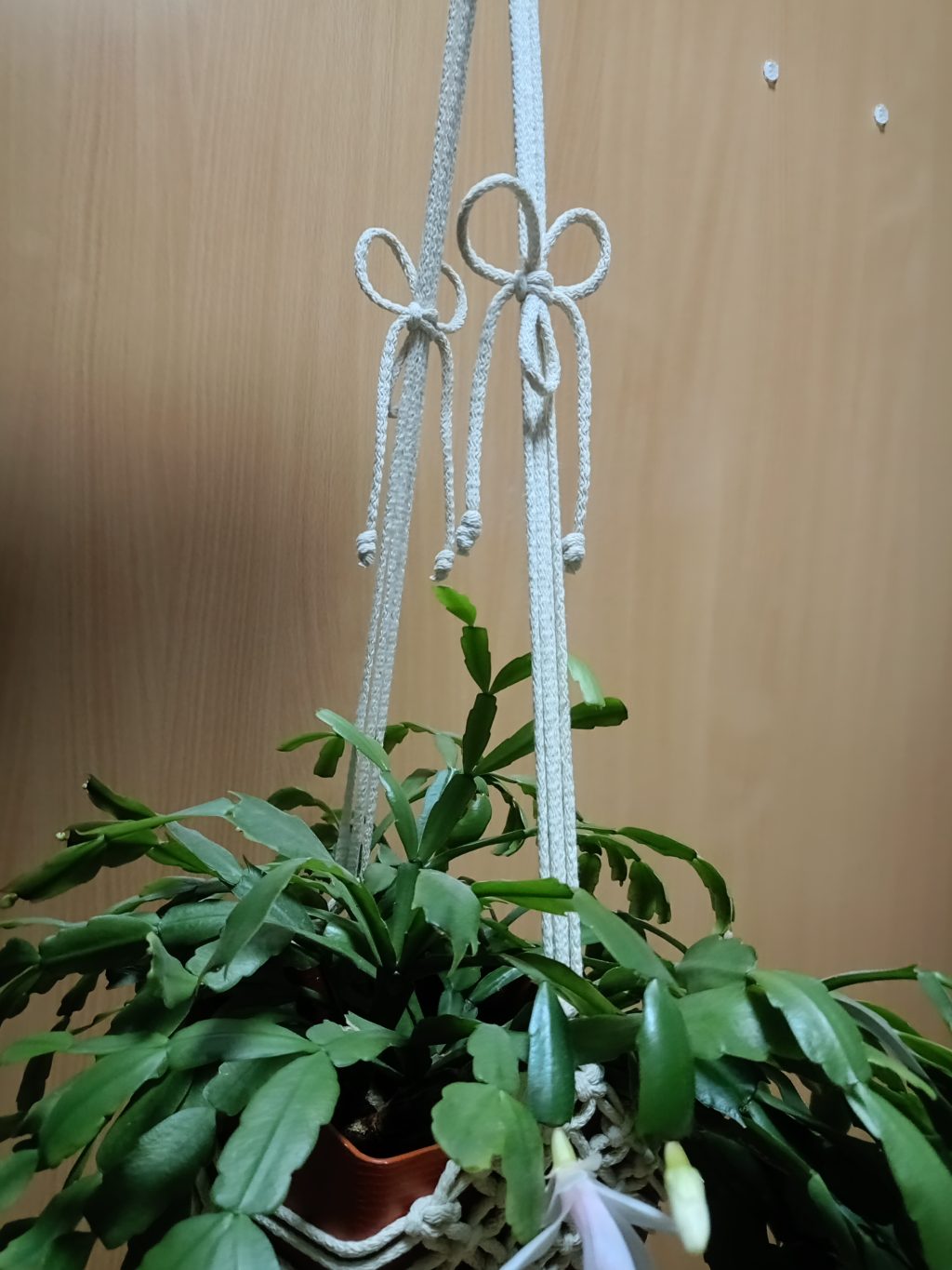 Кашпо макраме ромбы ваниль