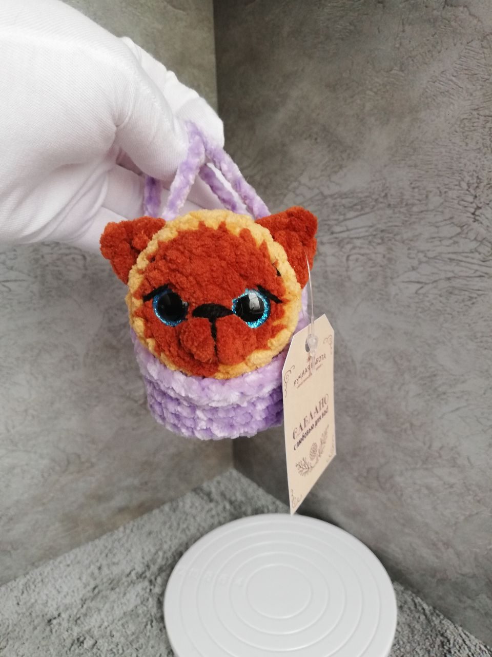 Котенок в переноске