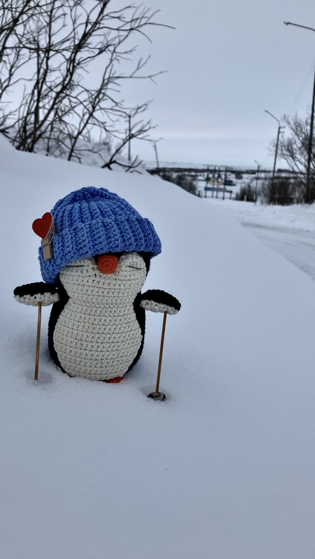 Пингвинчик в шапочке