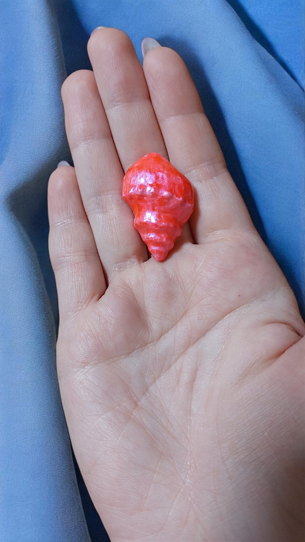 Брошь розовая ракушка