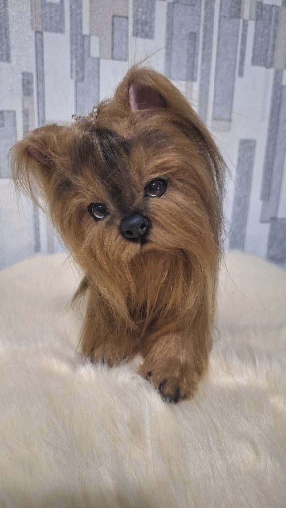 Щенок йорка