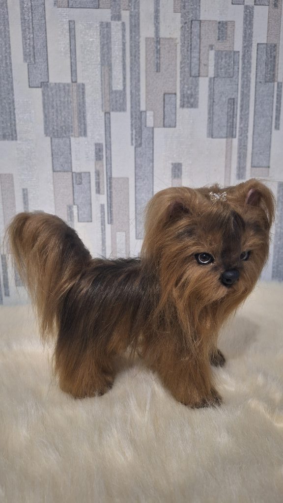 Щенок йорка