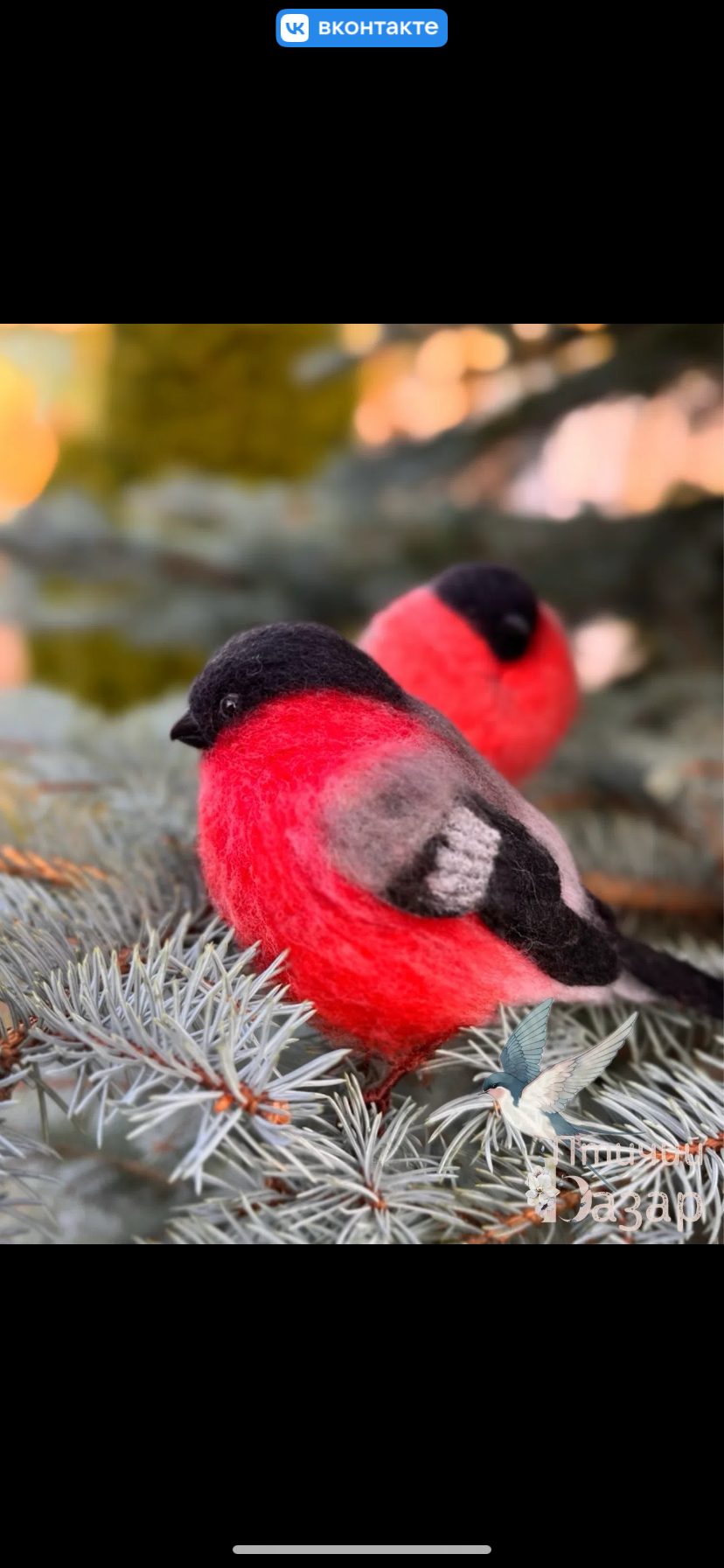 Птица снигирь