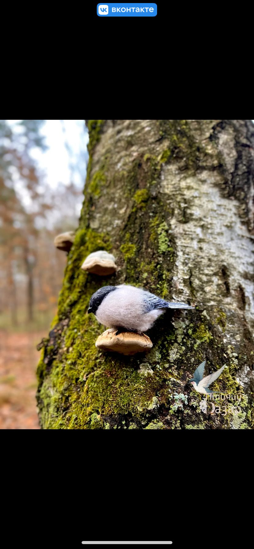 Птица московка