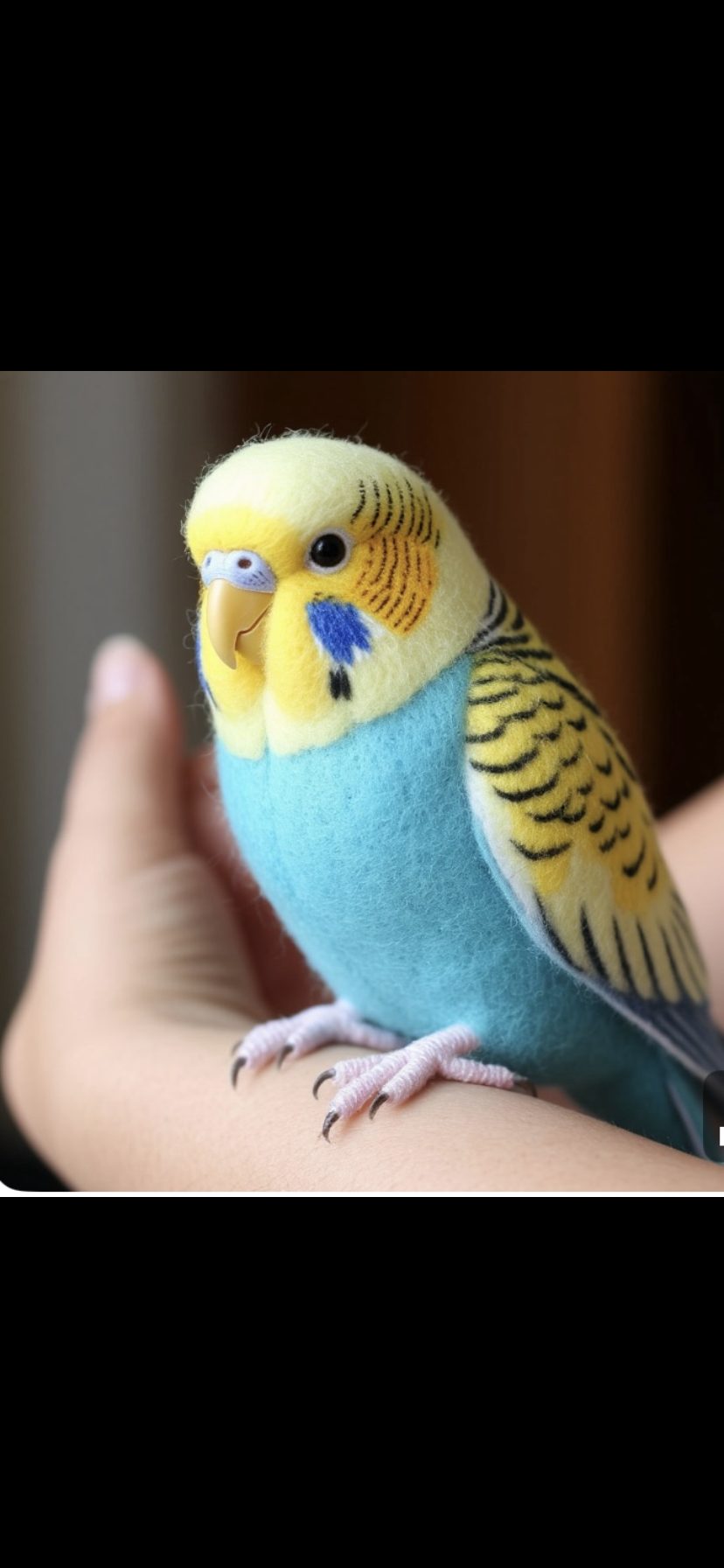 Птицы волнистые попугаи