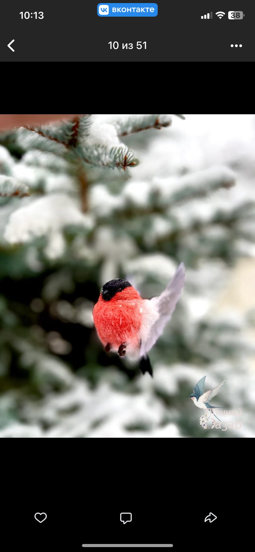 Птица Снигирь