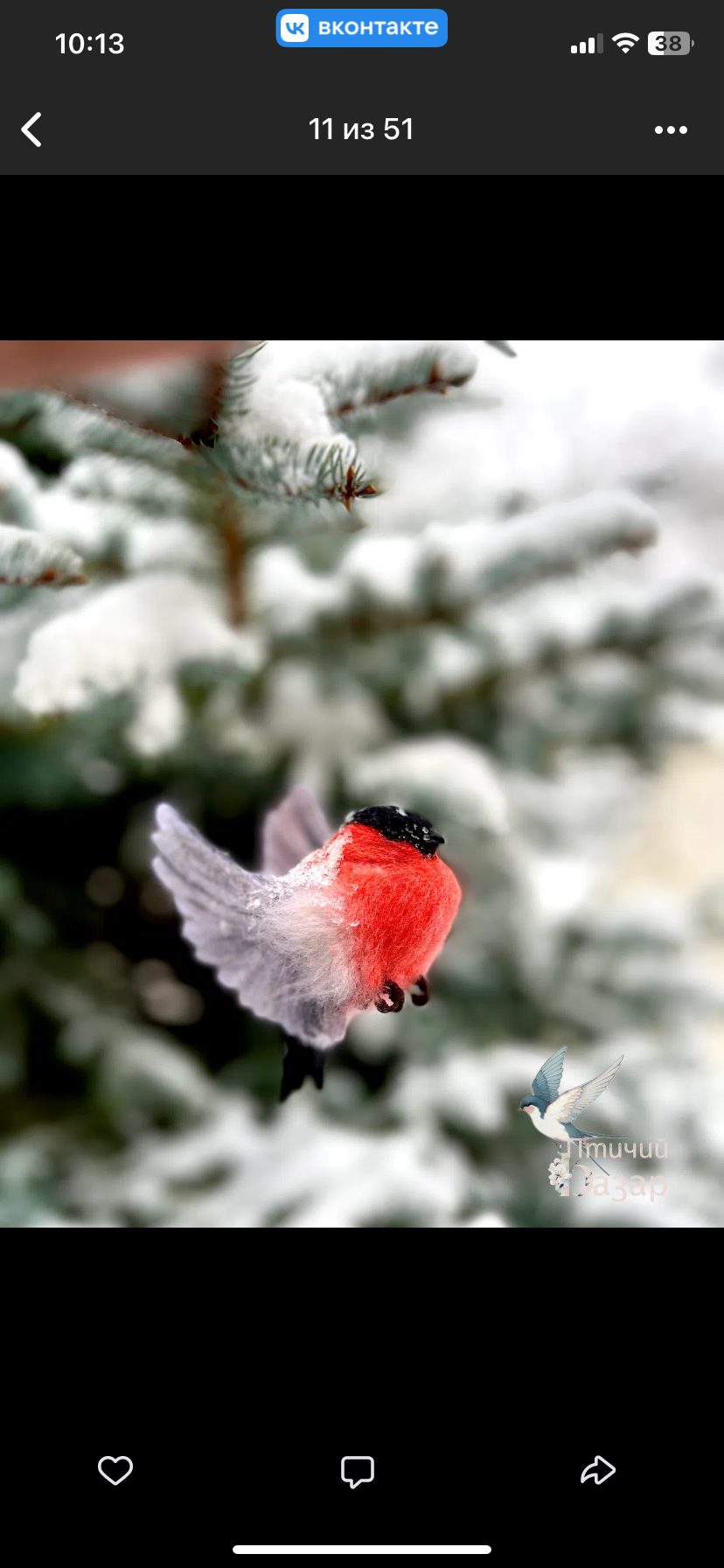 Птица Снигирь