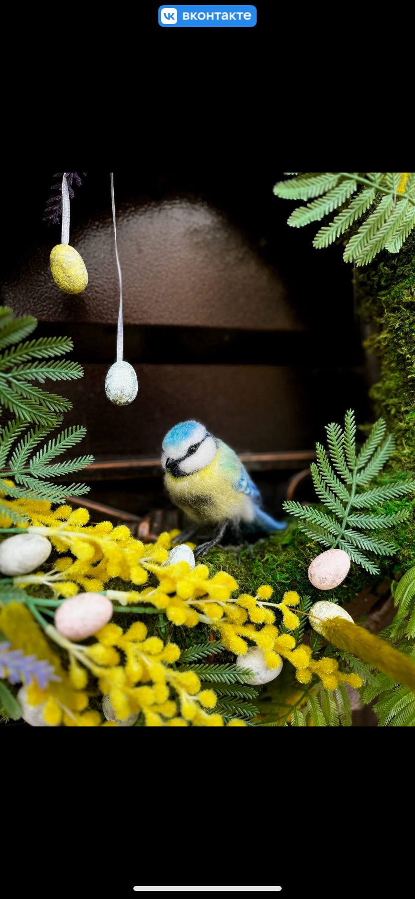 Птица синица лазоревка