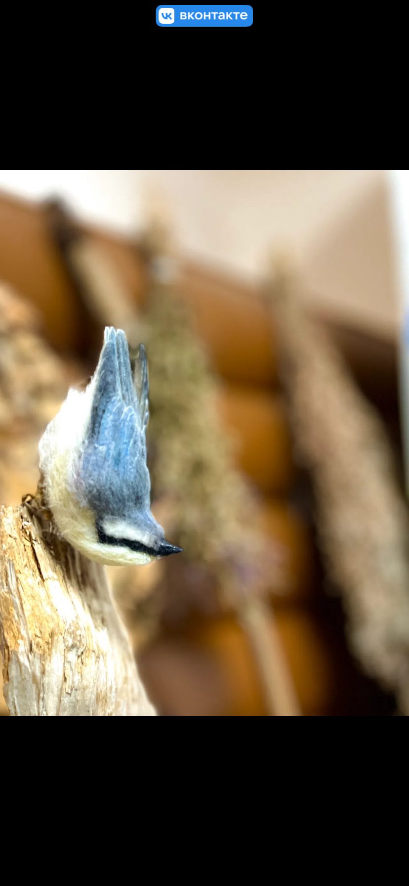 Птица поползень