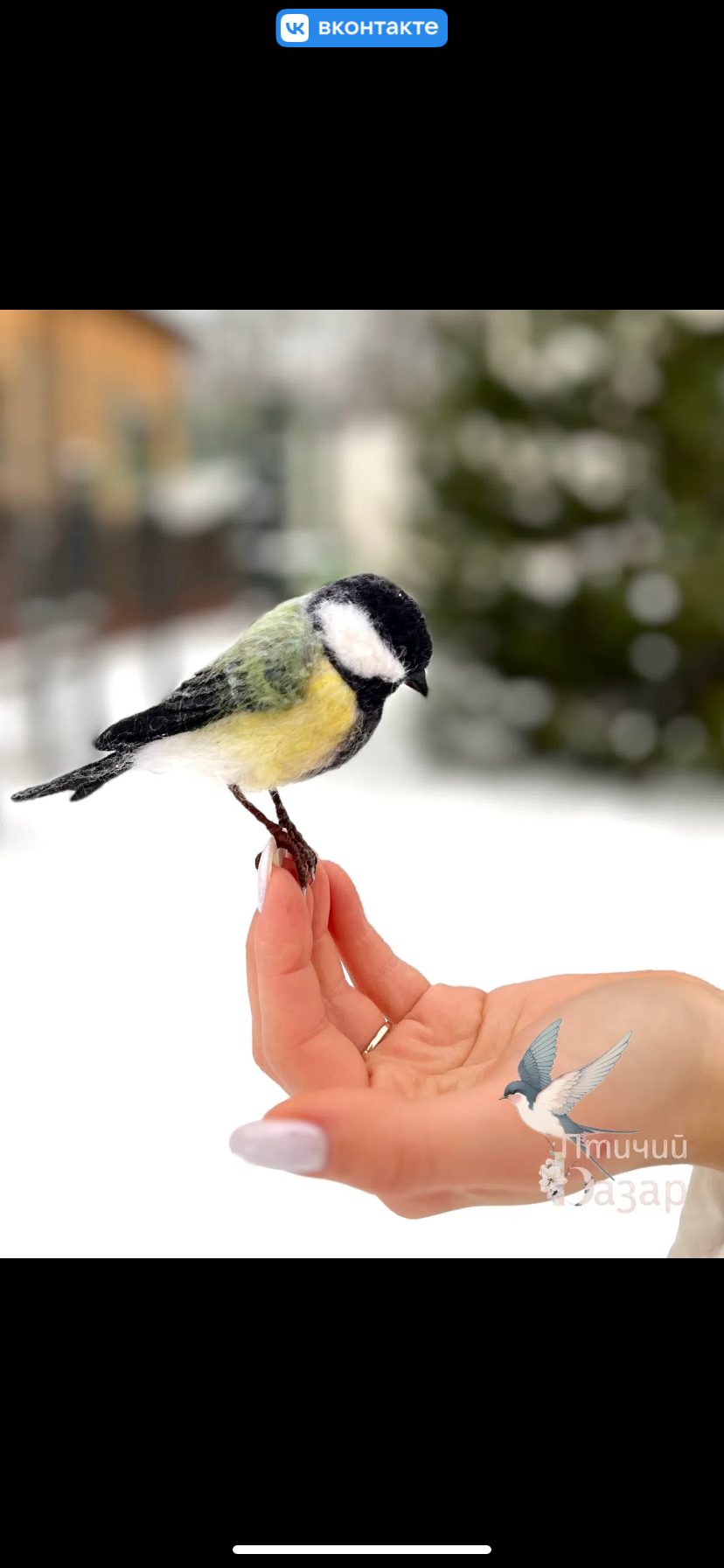 Птица синица