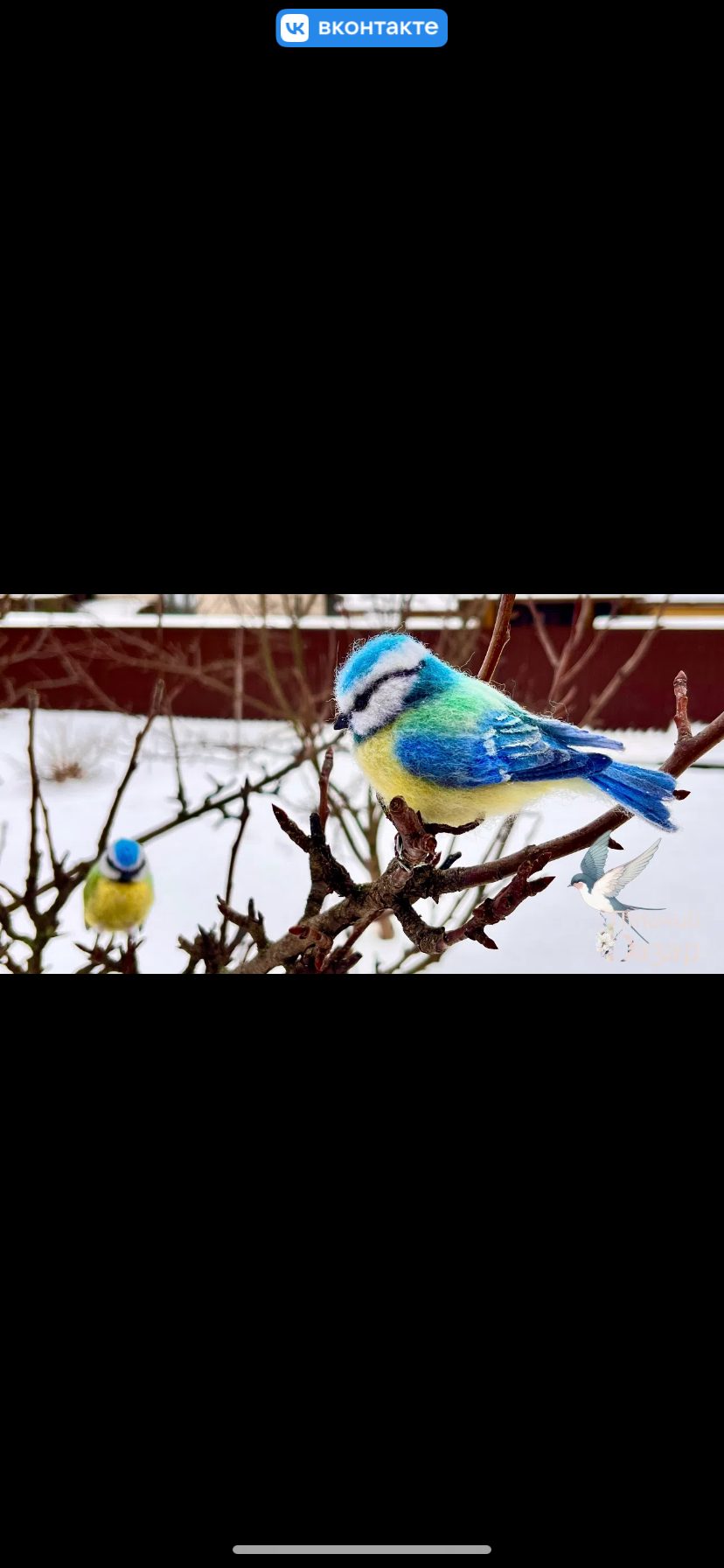 Птица синица лазоревка