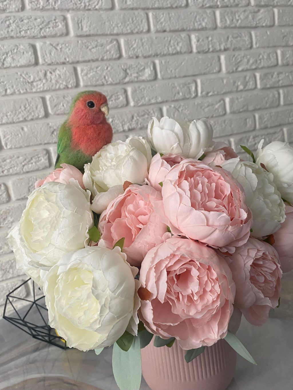 Птица попугай неразлучник