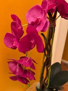 композиция орхидея