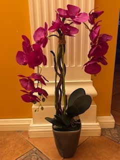 композиция орхидея