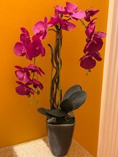 композиция орхидея