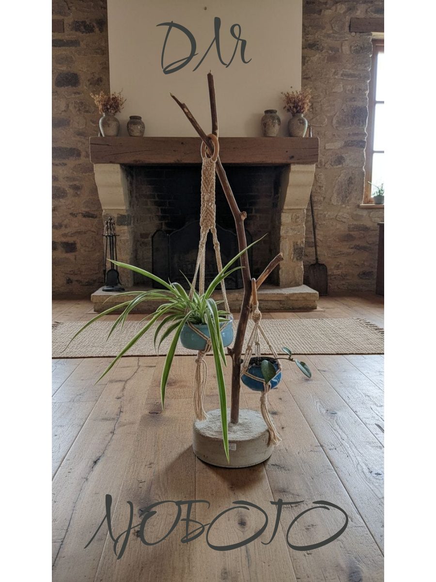 Макраме подвес на сосне и бетоне с цветами | Кашпо ручной работы | Эко-декор для квартиры | Живые растения в воздухе