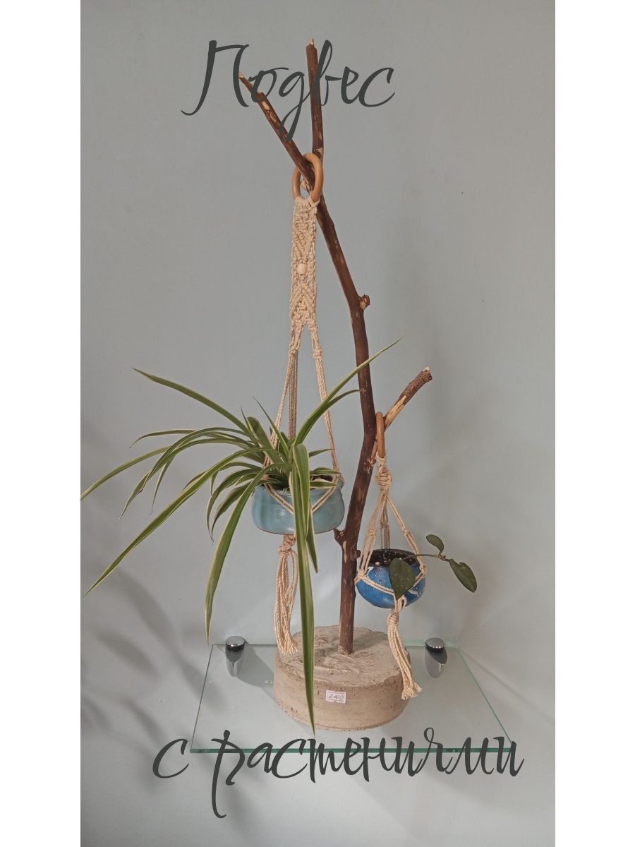 Макраме подвес на сосне и бетоне с цветами | Кашпо ручной работы | Эко-декор для квартиры | Живые растения в воздухе